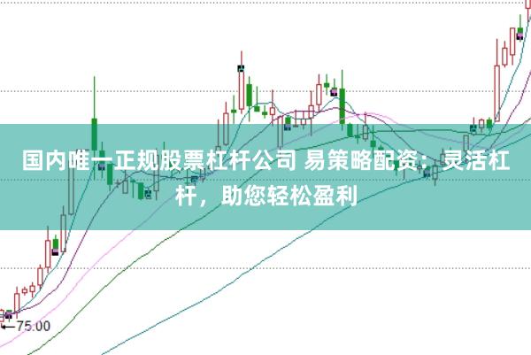 国内唯一正规股票杠杆公司 易策略配资：灵活杠杆，助您轻松盈利