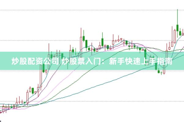 炒股配资公司 炒股票入门：新手快速上手指南