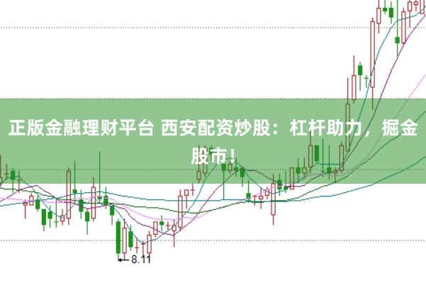 正版金融理财平台 西安配资炒股：杠杆助力，掘金股市！