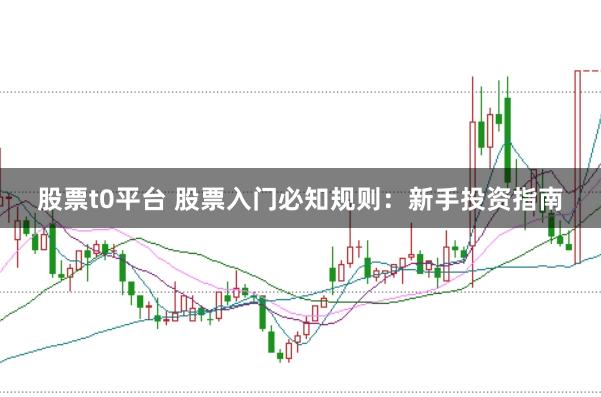 股票t0平台 股票入门必知规则：新手投资指南