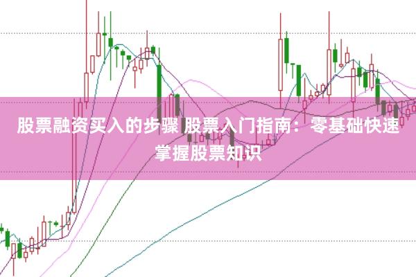 股票融资买入的步骤 股票入门指南：零基础快速掌握股票知识